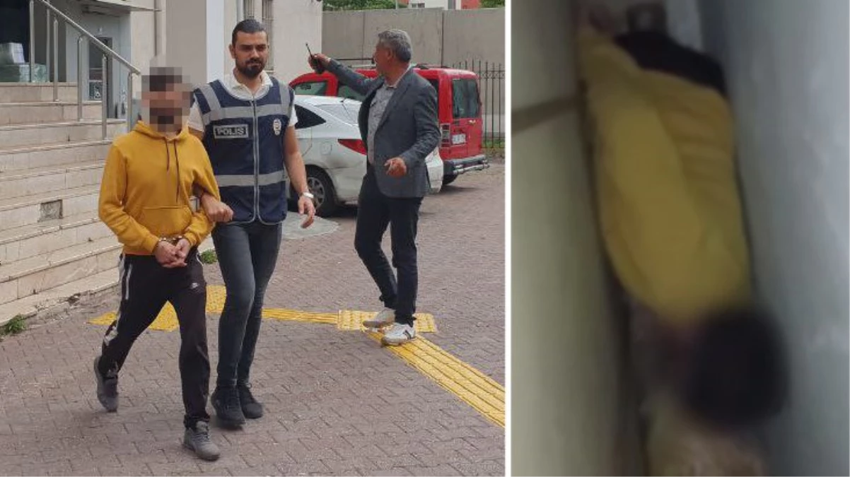 30 ilde aranan suç makinesi dolabın arkasından çıktı