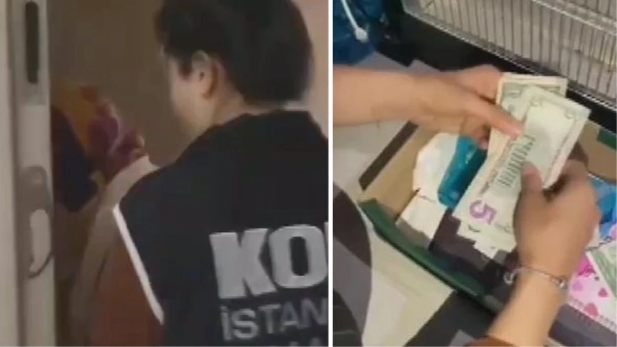 FETÖ elebaşı Fethullah Gülen’in yeğeni Asiye Gülen ve eşi İstanbul’da yakalandı! Evden neler çıktı neler