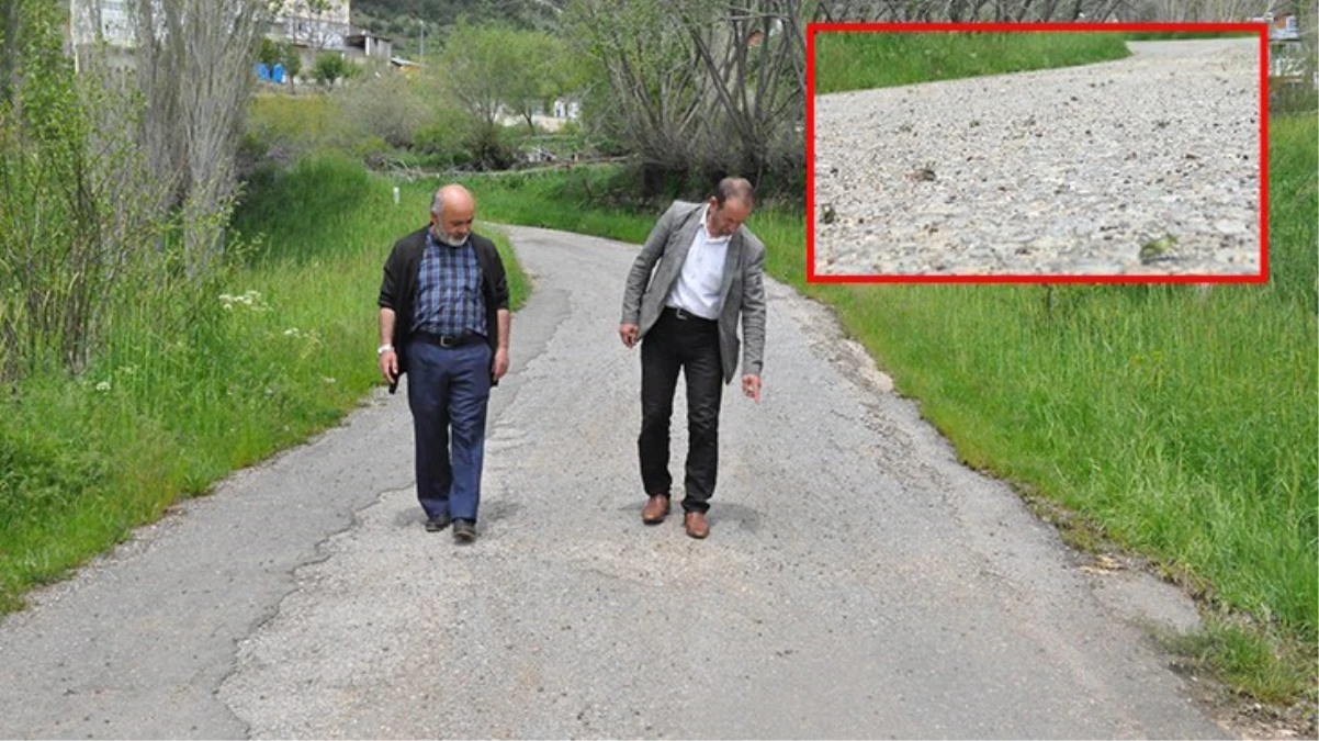 Gümüşhane’nin Şiran ilçesinde tüm köyü istila eden çekirgeler vatandaşı canından bezdirdi