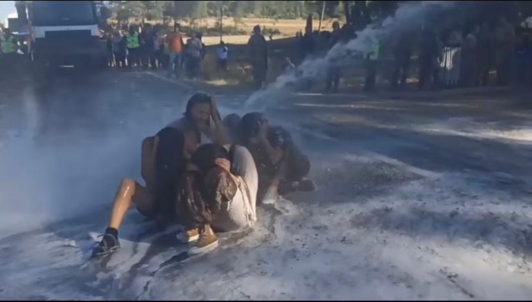 Gülizar Biçer Karaca, Akbelen Ormanı’ndaki Mücadeleye Destek İçin Muğla’ya Gidiyor.! – GÜNDEM – İnternetin Ajansı