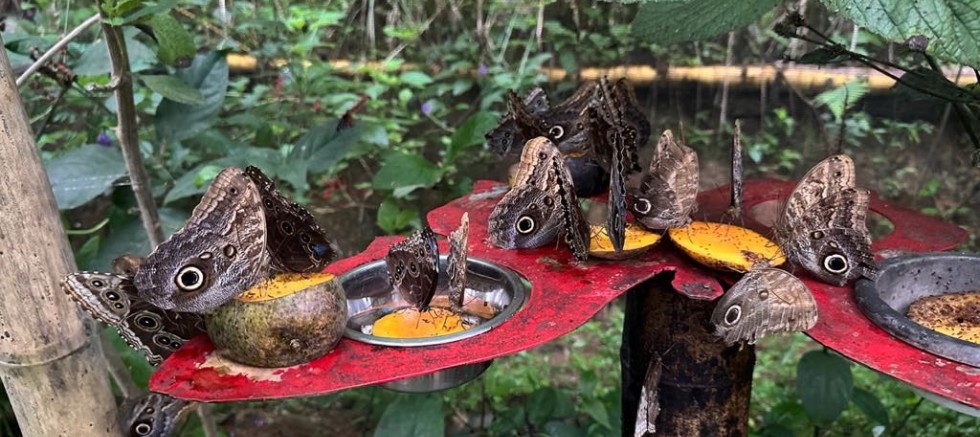 SELÇUKLU VE PENONOME BELEDİYESİ KARDEŞ OLDU – GÜNDEM – İnternetin Ajansı