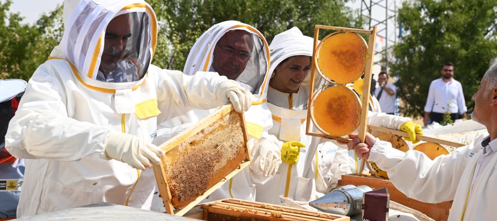 ARILI KOVAN DESTEĞİ PROJESİ’NDE İLK HASAT YAPILDI   – GÜNDEM – İnternetin Ajansı