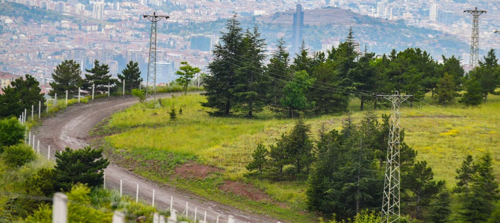 BAŞKENTLİLERE NEFES: ANKARA BÜYÜKŞEHİR BELEDİYESİ HACIKADIN KENT ORMANI’NI YENİLEDİ – GÜNDEM – İnternetin Ajansı