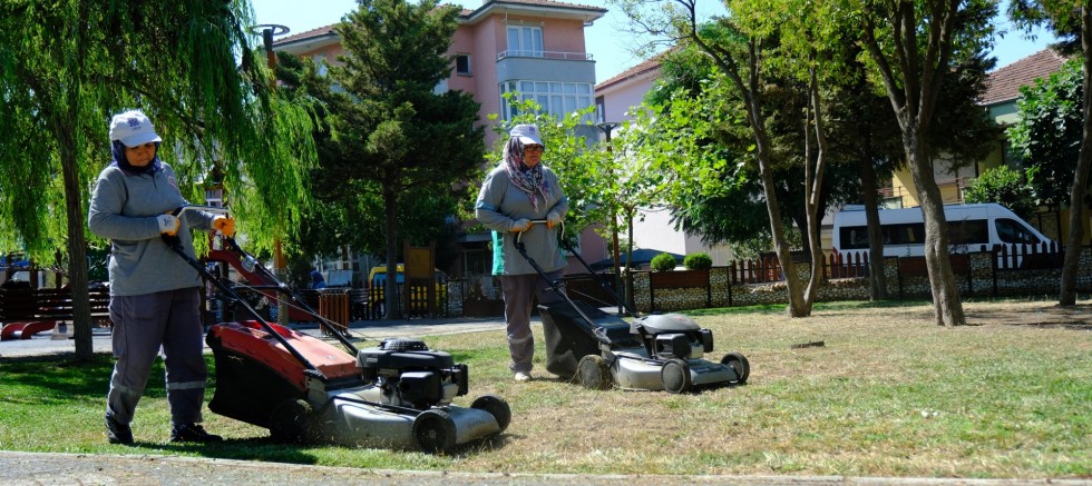DAHA YEŞİL BİR ALTIEYLÜL İÇİN ÇALIŞIYORUZ – GÜNDEM – İnternetin Ajansı