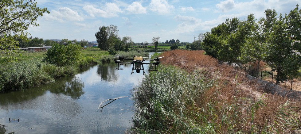 Drone ile sinek avı – GÜNDEM – İnternetin Ajansı