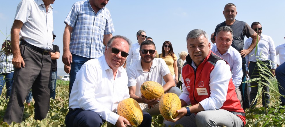 GERENKÖY’DE TARIMIN BEREKETİ: KAVUN HASAT ŞENLİĞİ – GÜNDEM – İnternetin Ajansı