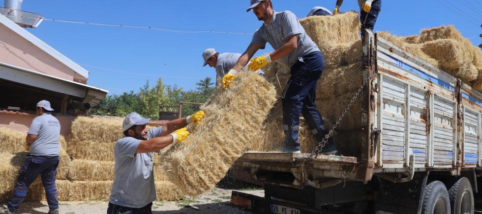 HAYVAN ÜRETİCİLERİNE BALYA DESTEĞİ – GÜNDEM – İnternetin Ajansı