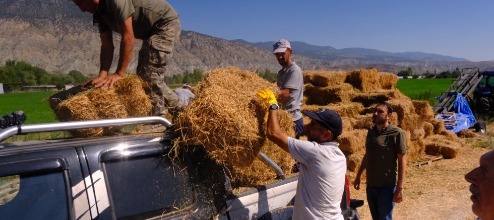 HAYVAN ÜRETİCİLERİNE CAN SUYU GİBİ DESTEK – GÜNDEM – İnternetin Ajansı