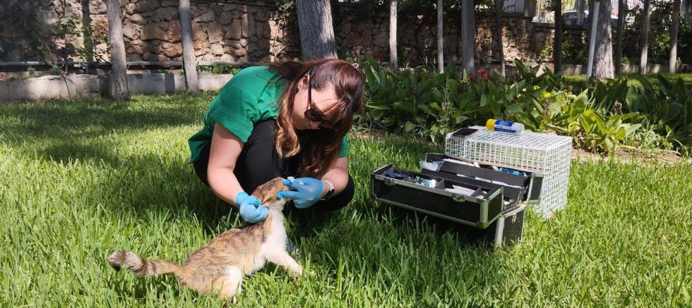 Kepez can dostlarına gözü gibi bakıyor – GÜNDEM – İnternetin Ajansı