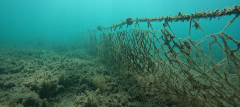 KOCAMAN’DAN KAMADER’İN PROJESİNE DESTEK – GÜNDEM – İnternetin Ajansı