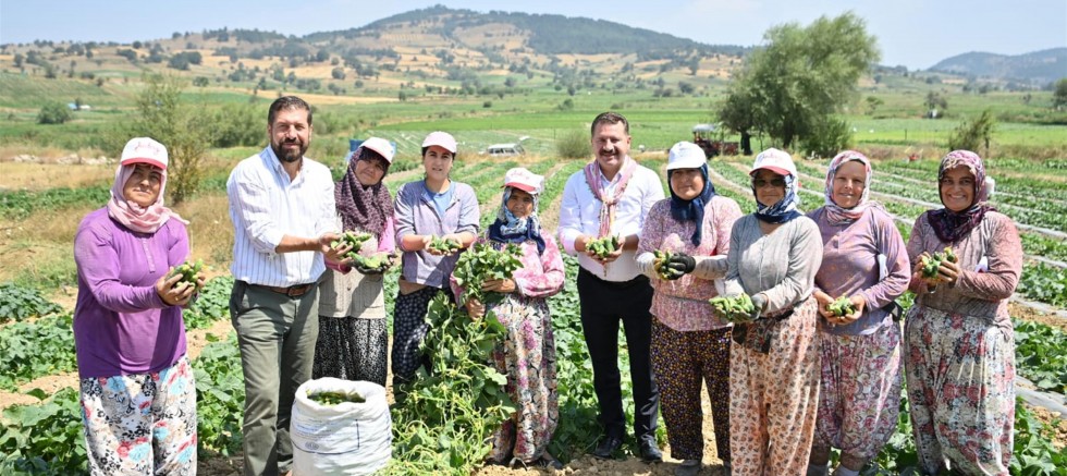 Kornişon Salatası binlerce aileye ekmek kapısı oldu  – GÜNDEM – İnternetin Ajansı