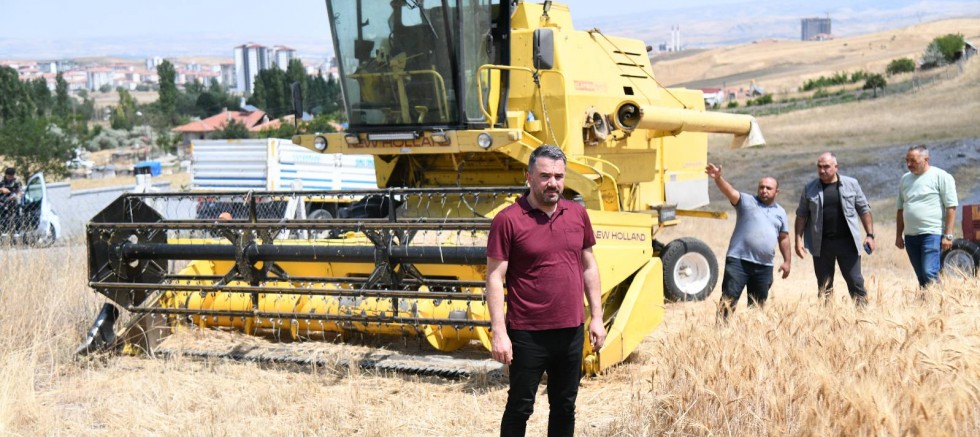 Pursaklar’da Hasat Vakti – GÜNDEM – İnternetin Ajansı