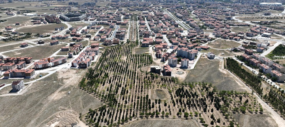 SELÇUKLU YENİ PARK ÇALIŞMALARIYLA GELECEĞE HAZIRLANIYOR – GÜNDEM – İnternetin Ajansı