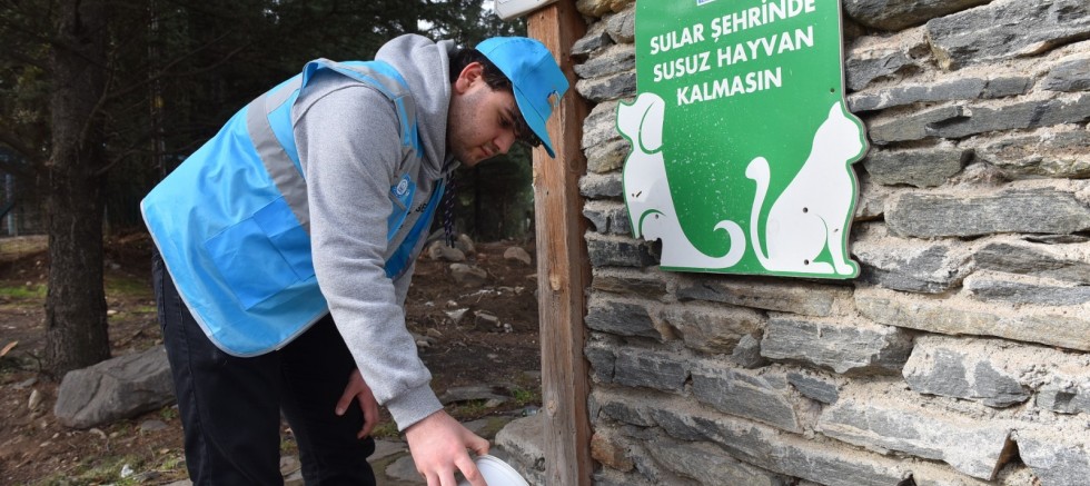 YILDIRIM BELEDİYESİ YAZ SICAKLARINDA DA SOKAK HAYVANLARININ YANINDA – GÜNDEM – İnternetin Ajansı