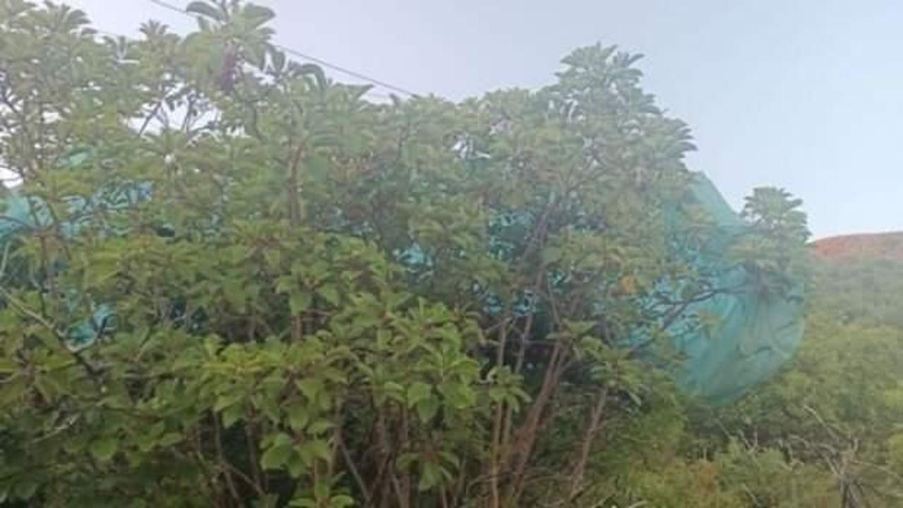 800 metre yükseklikten ağaçlık alana çakıldılar!