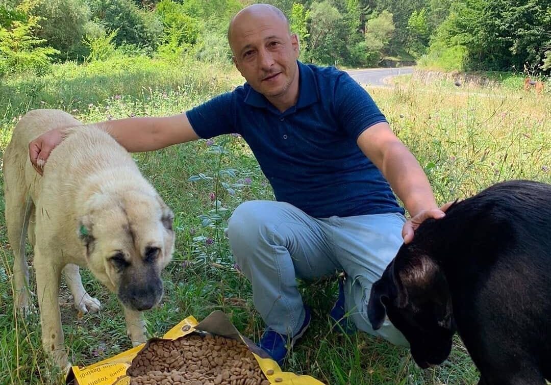 SAHİPSİZ PATİLER DERNEĞİ BURSA