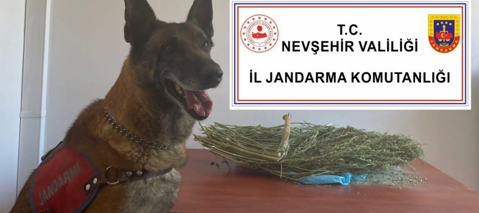 Nevşehir’de uyuşturucu operasyonu  – GÜNDEM – İnternetin Ajansı