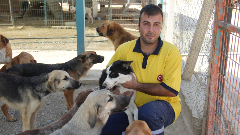 TARSUS BELEDİYESİ EKİPLERİ 5 YAVRU KÖPEK VE ANNEYİ KURTARDI – TÜRKİYE – İnternetin Ajansı