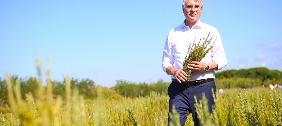 Yüce mecliste yeni unvan sinyali: Sakarya ‘Dünya Tarım Şehri’ oluyor – GÜNDEM – İnternetin Ajansı