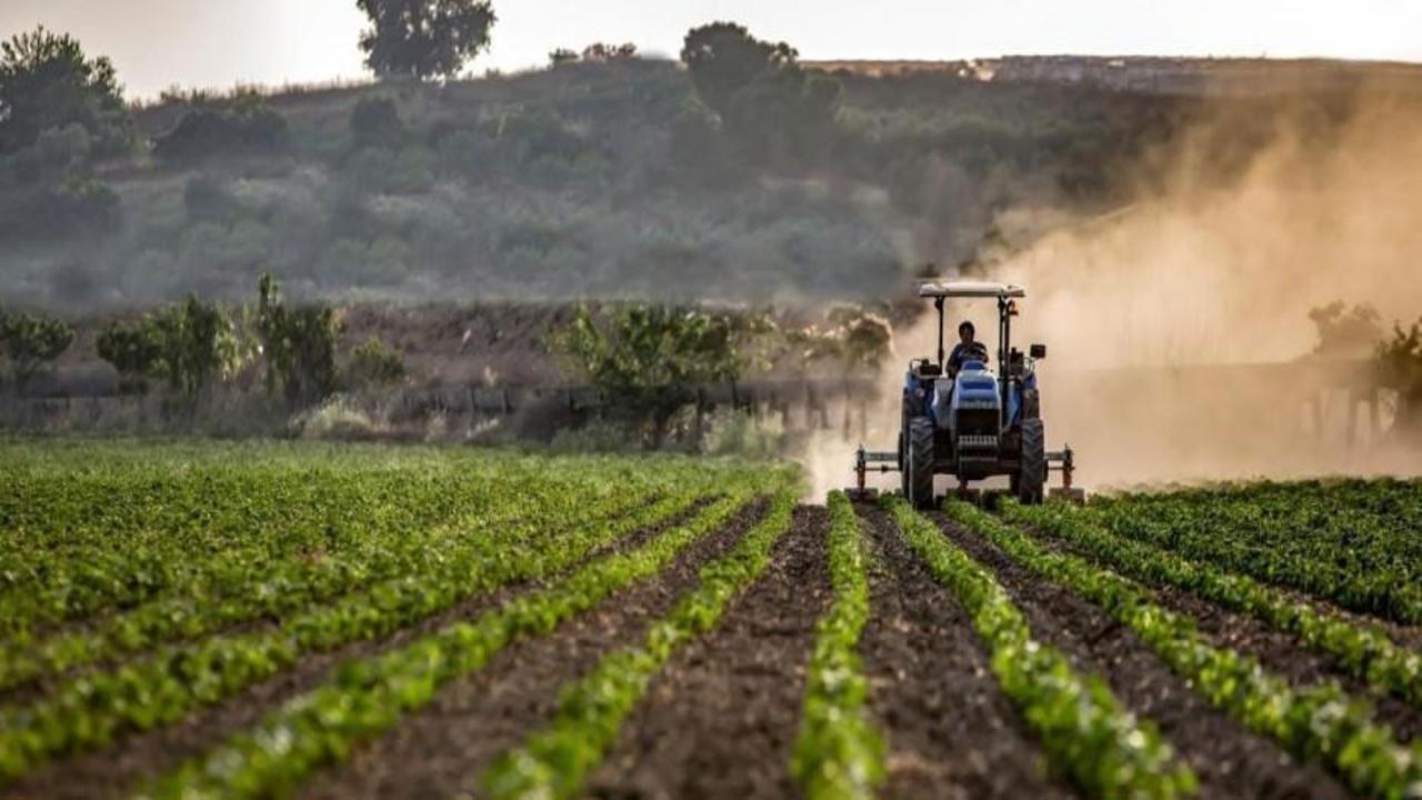 Gelecek yıl 700 bin hektarda arazi toplulaştırma çalışması başlatılacak