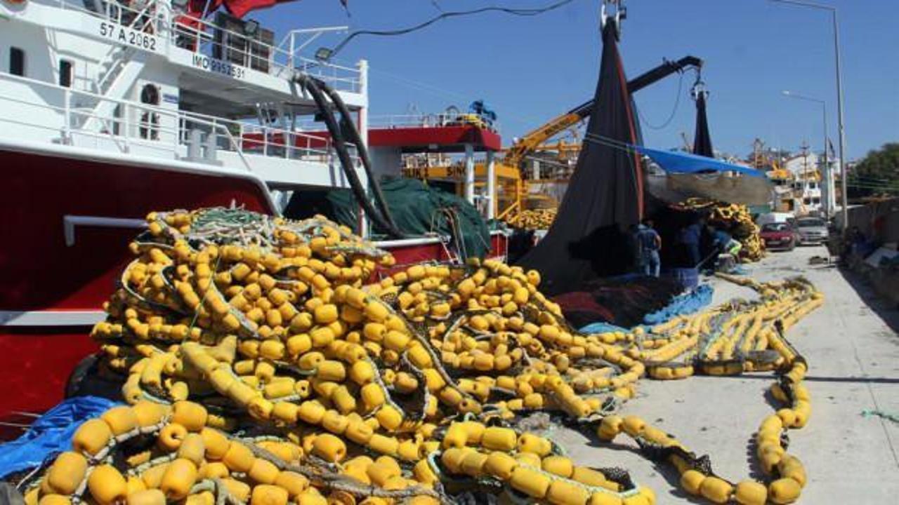 Ege Denizi’ndeki balık türü stokları tehdit altında