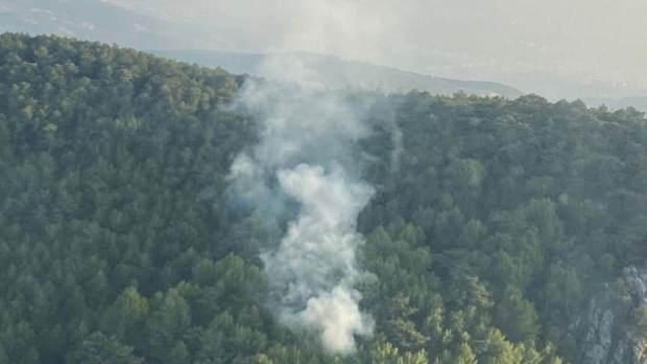 İzmir’de orman yangını: 58 dakikada kontrol altına alındı
