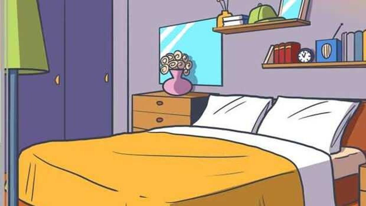 Keskin gözlüler dikkat: Yatak odasında saklanan tacı 5 saniyede bulabilir misin?