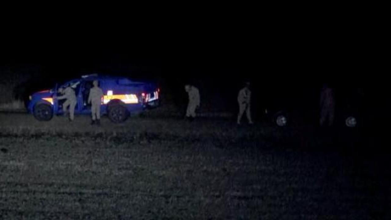 Çoban paylaştı alarm verildi! Jandarma didik didik fil arıyor