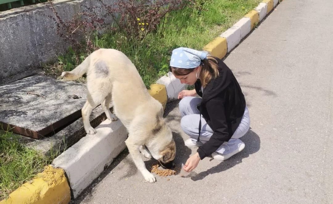 Sahipsiz Patiler Derneği Bursa