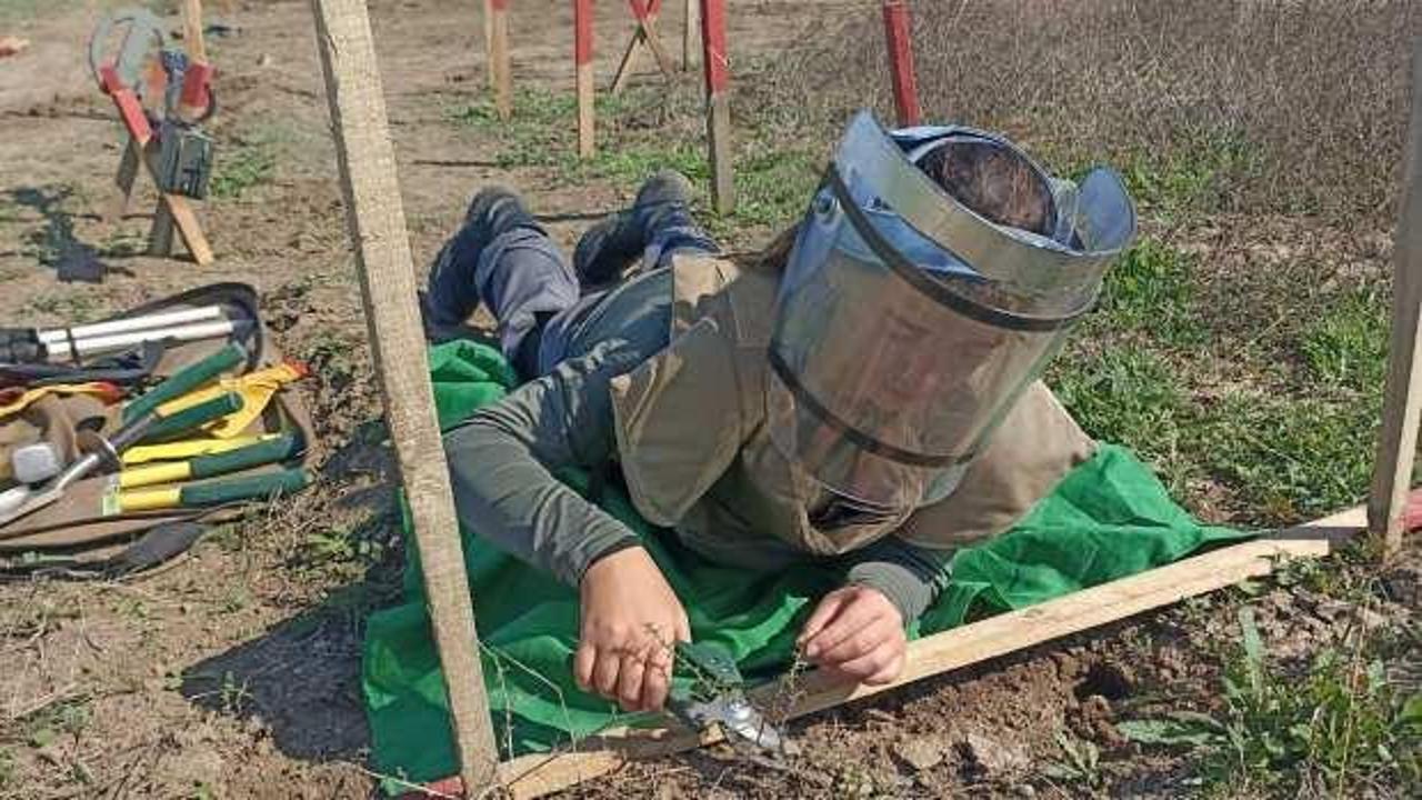 Azerbaycanlı kadınlar mayın temizliyor