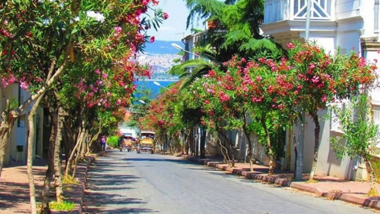 İstanbul'a yakın 2 günlük tatil yerleri: 2 günlük tatil için nereye gidilir? Doğa manzaralı saklı cennetler...