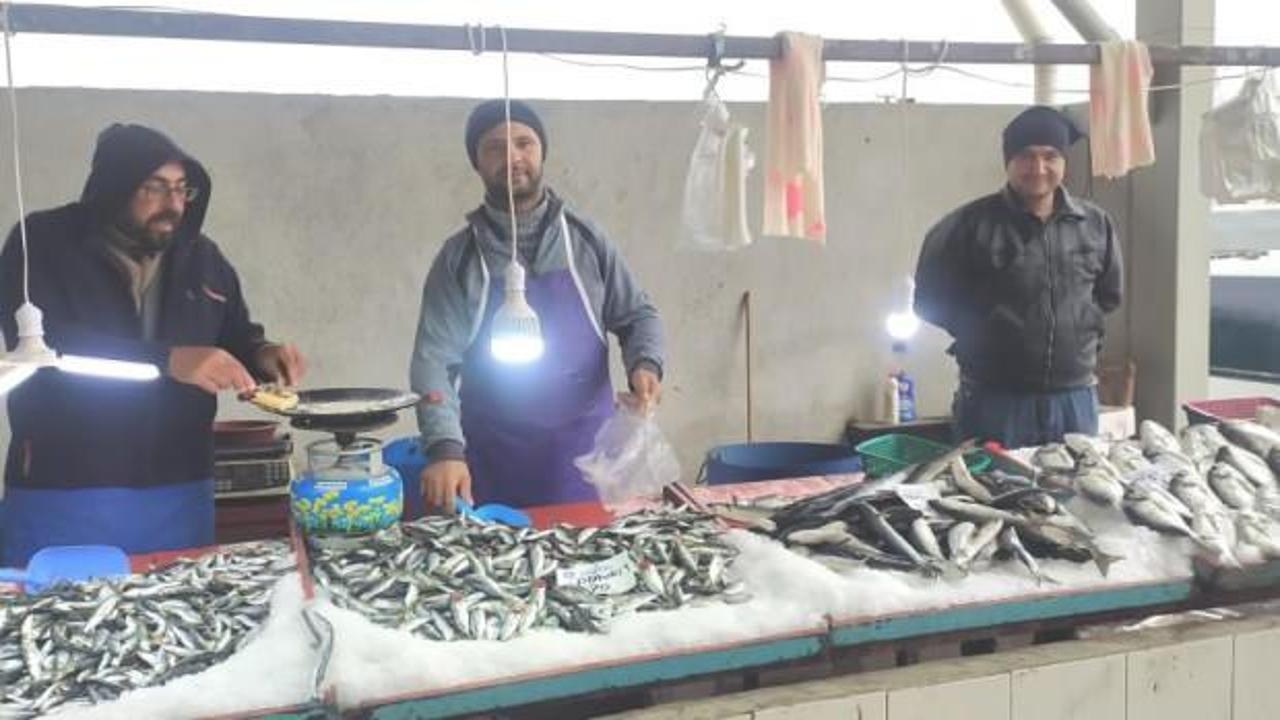 Havalar soğudu, balık bollaştı, fiyatlar düştü