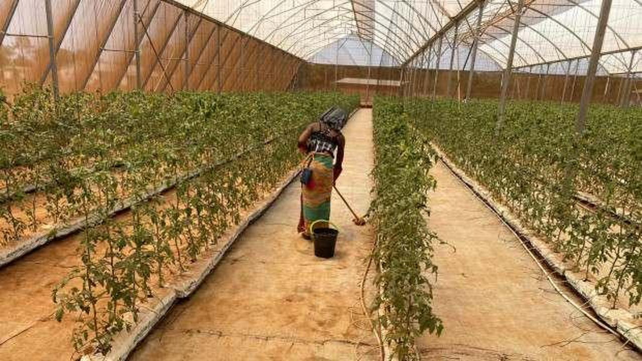 İsrail’de ekonomi batıyor! Afrika’dan işçi toplamaya başladılar