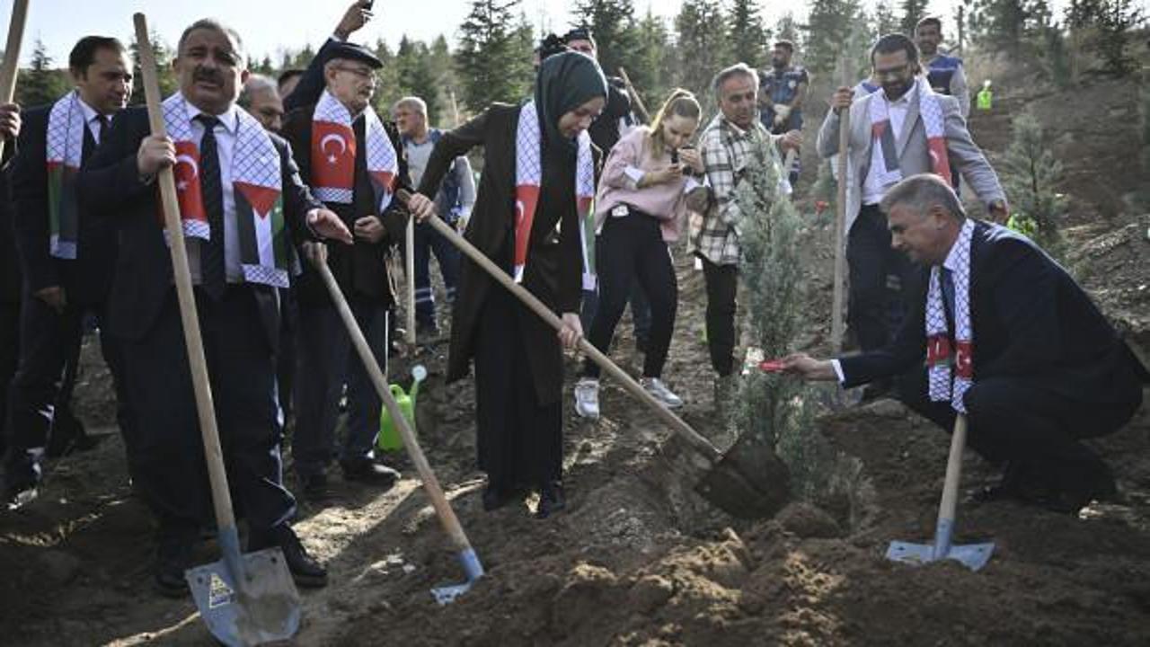 İsrail’in öldürdüğü gazeteciler için fidan dikildi