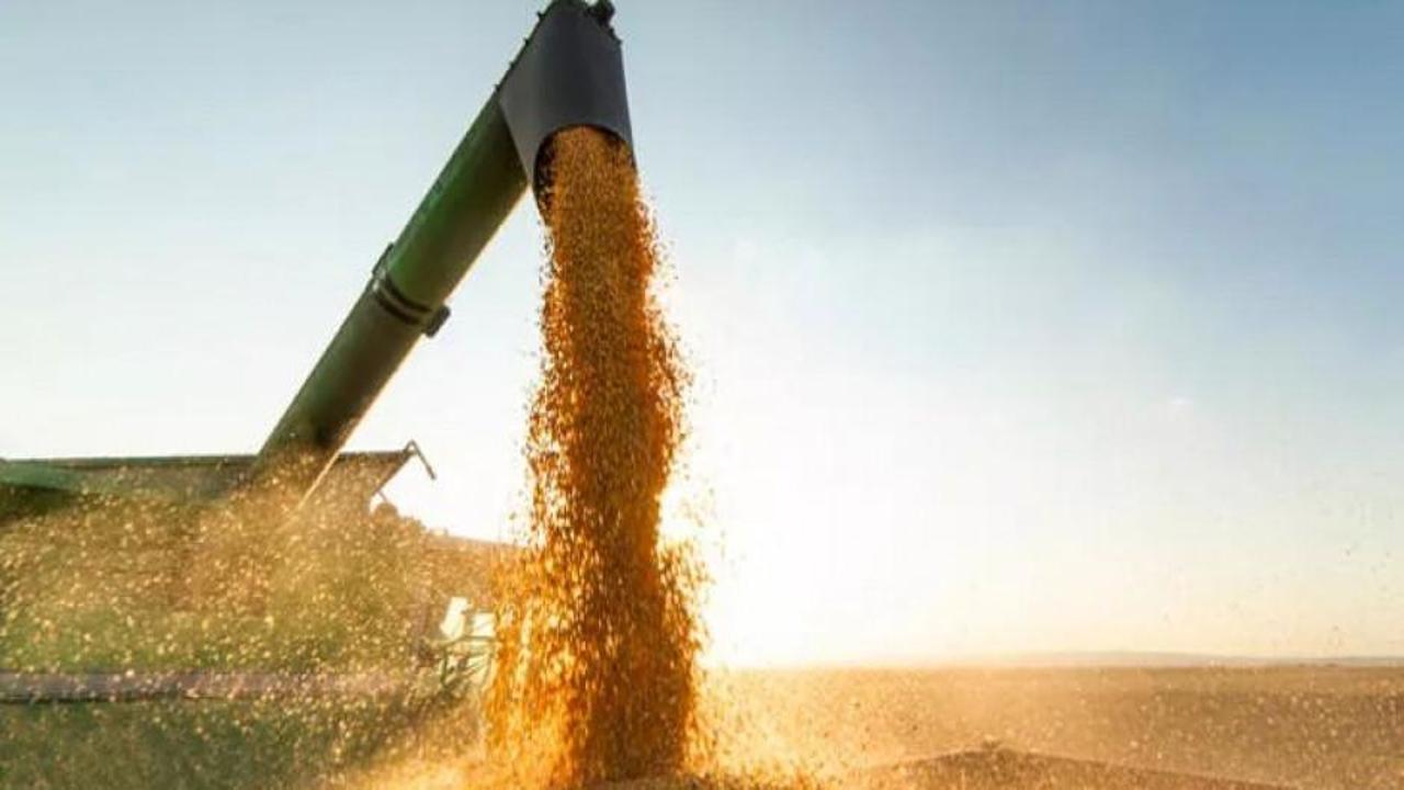 Küresel gıda fiyatları geriledi