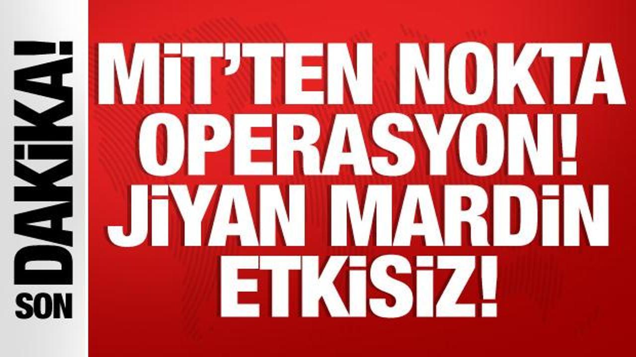 MİT, Jiyan Mardin’i etkisiz hale getirdi