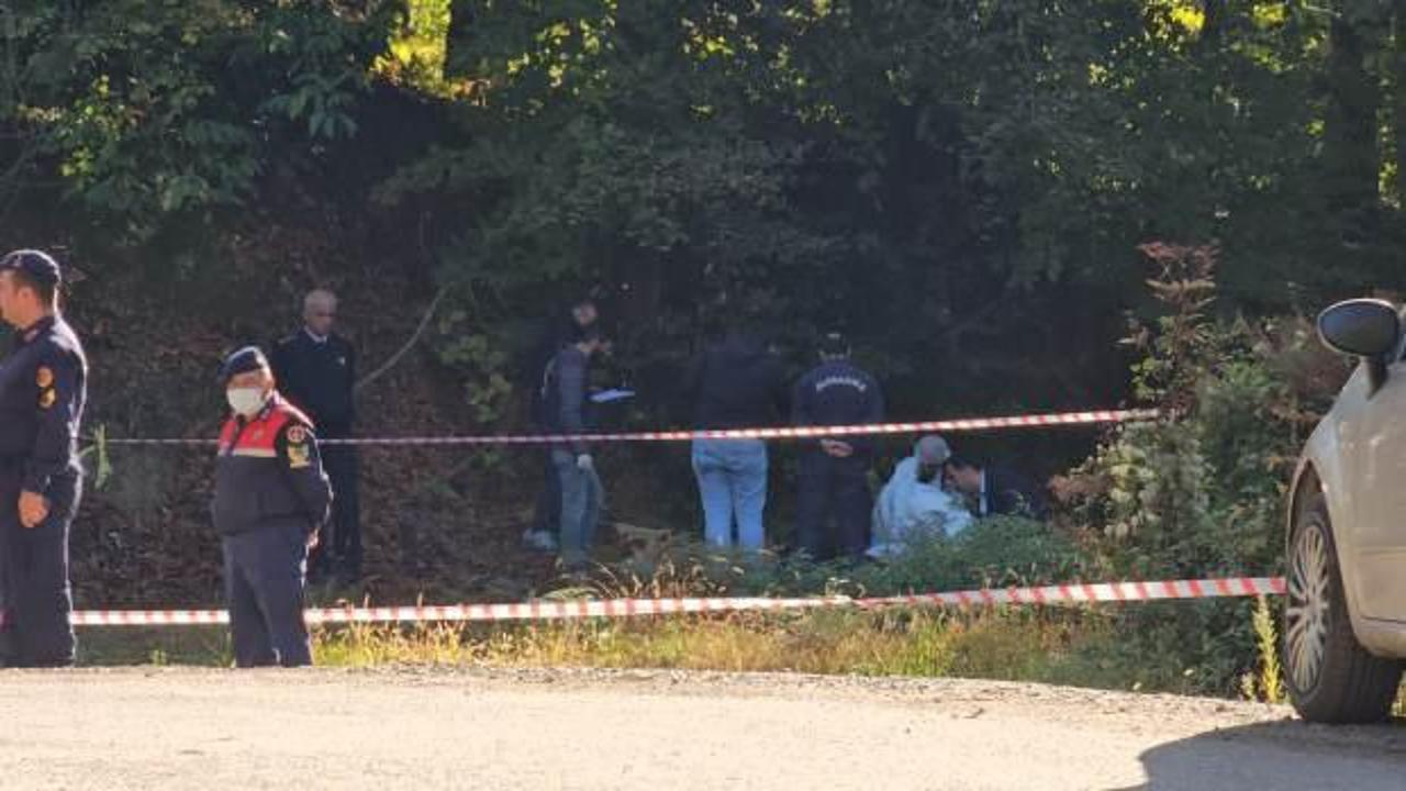Ormanda yanmış erkek cesedi bulundu