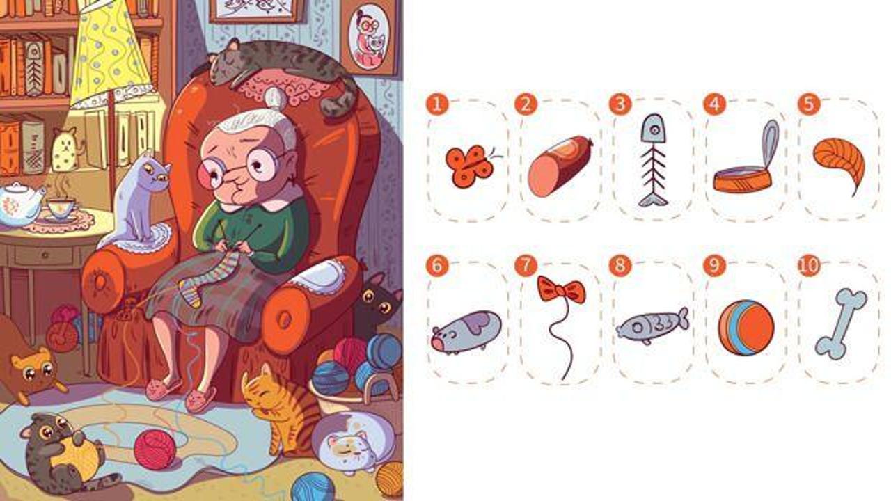 Resimdeki gizli nesnelerin tamamını 60 saniye içerisinde bulabilir misiniz? Bu mücadeleyi insanların sadece %5’i tamamlayabiliyor!