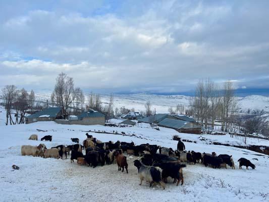 Köyde her şey kara gömüldü! 'Evlerimizi bulmakta zorlanıyoruz'