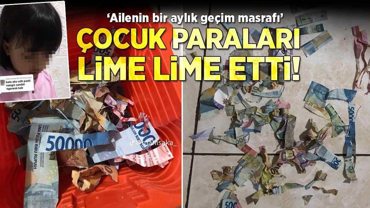 Küçük kız paraları lime lime etti! ‘Bir aylık geçim masrafı’