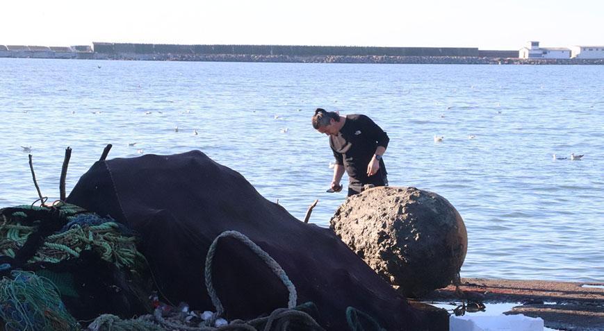 Balıkçıların ağına takıldı! İstanbul’dan özel ekip yola çıktı