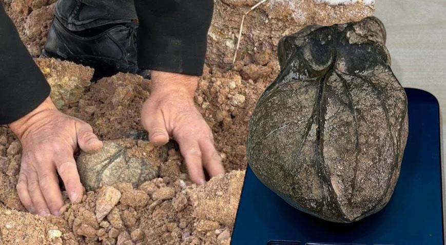 Bahçesindeki kazı çalışmasında fark etti! ‘İnsan kalbiyle aynı’