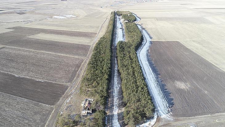 Bozkırın ortasındaki vaha! Paylaşımlar yayıldı, harekete geçildi
