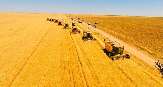 Tarımda üretici enflasyonu belli oldu