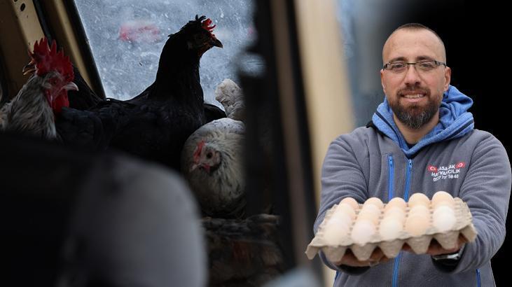 Yumurtaların kalitesi artınca, ilginç yönteme başvurdu: Eşim tavuklardan beni kıskanıyor