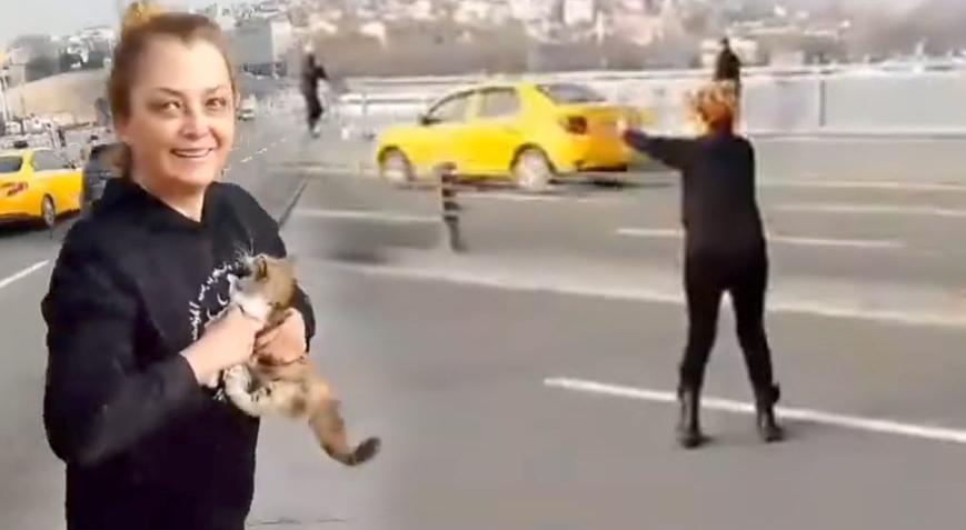 Unkapanı Köprüsü’nde yavru kedi operasyonu! Trafiği durdurdu