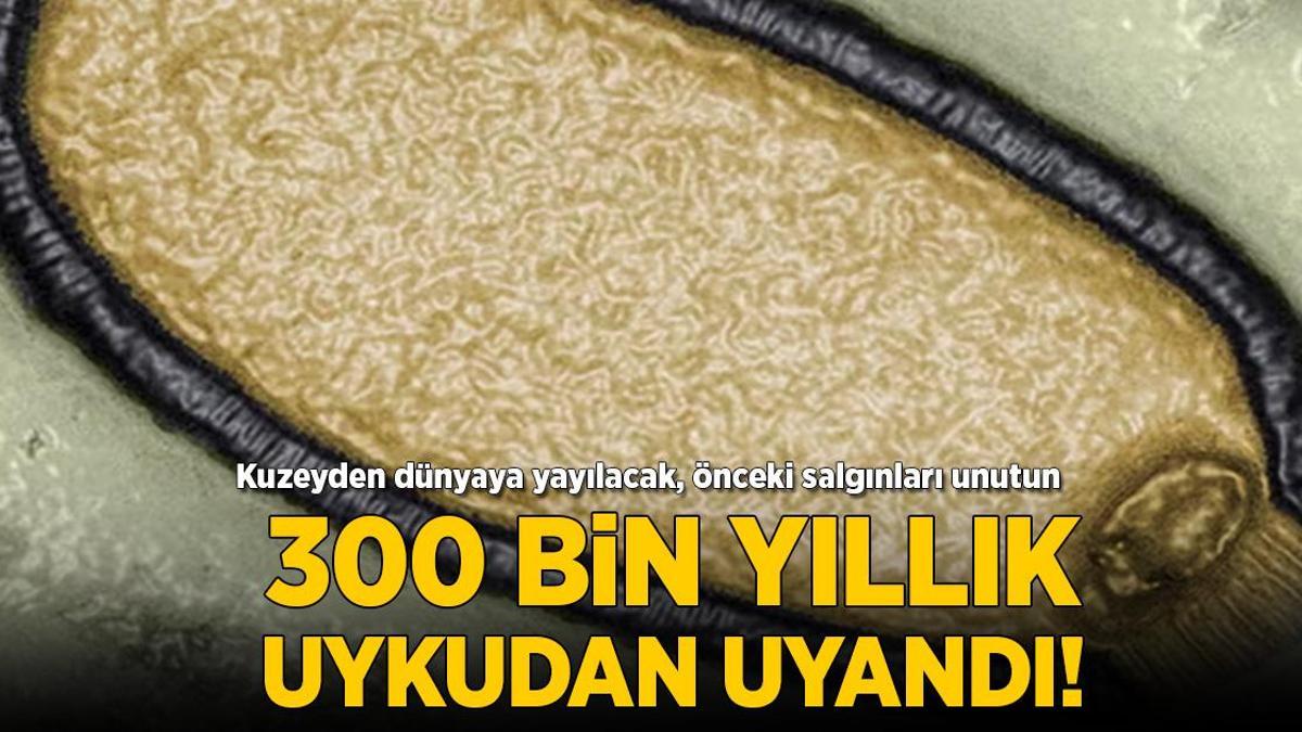 300 bin yıllık uykudan uyandı! Kuzeyden yayılacak, önceki salgınları unutun