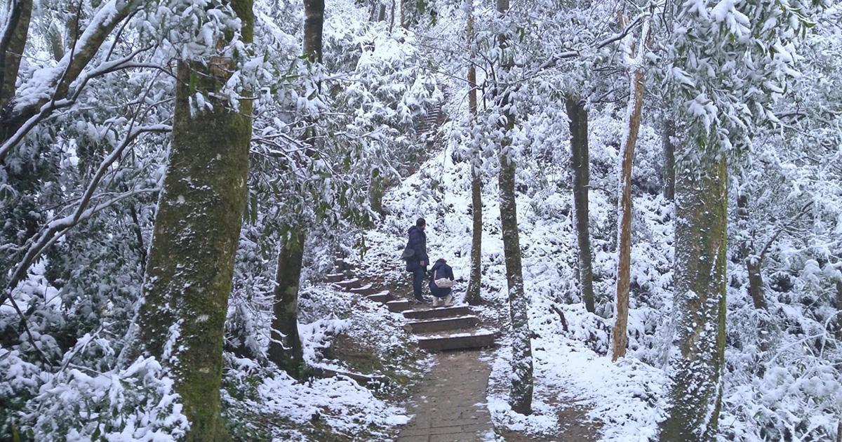 Tayvan’da soğuk hava dalgası vurdu! 2 günde 145 kişi hayatını kaybetti