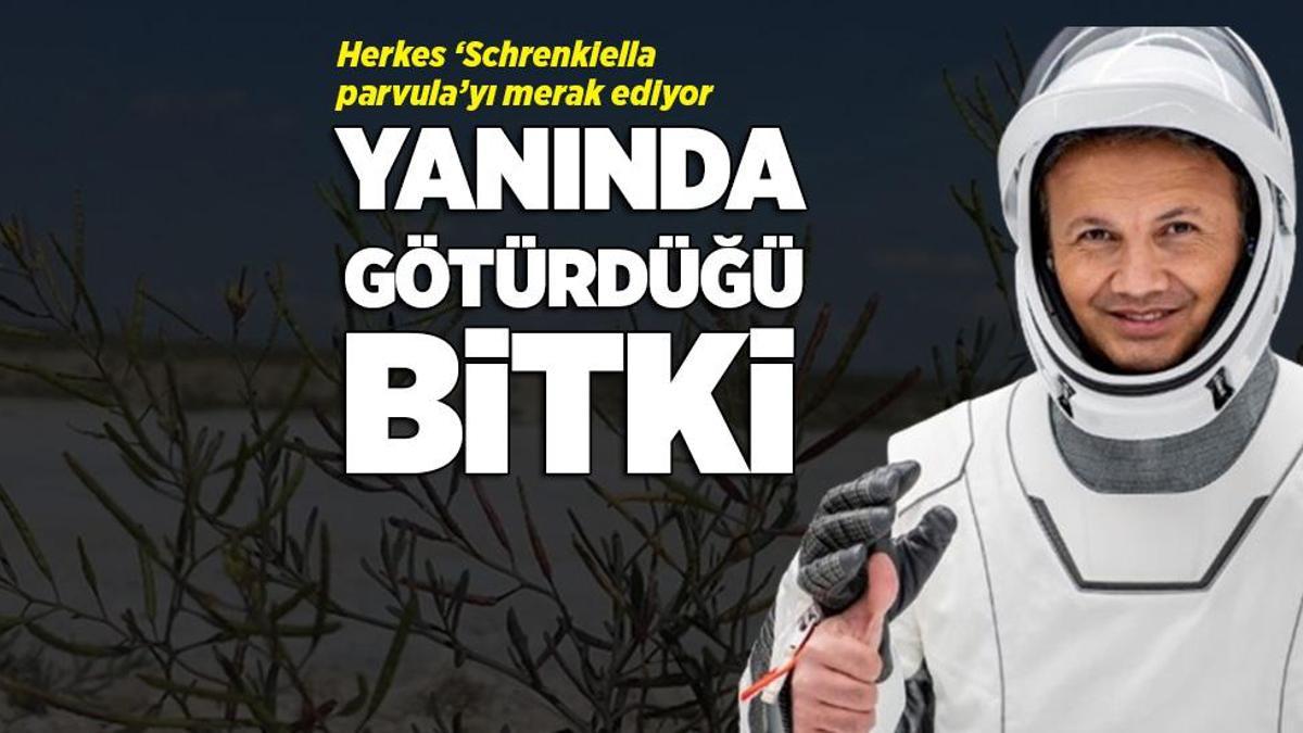 Türkiye’nin ilk astronotu Gezeravcı yanında götürdü! Herkes ‘Schrenkiella parvula’yı merak ediyor