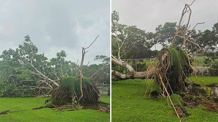 Avustralya’nın doğusunu fırtına vurdu! 64 bin kişi elektriksiz kaldı